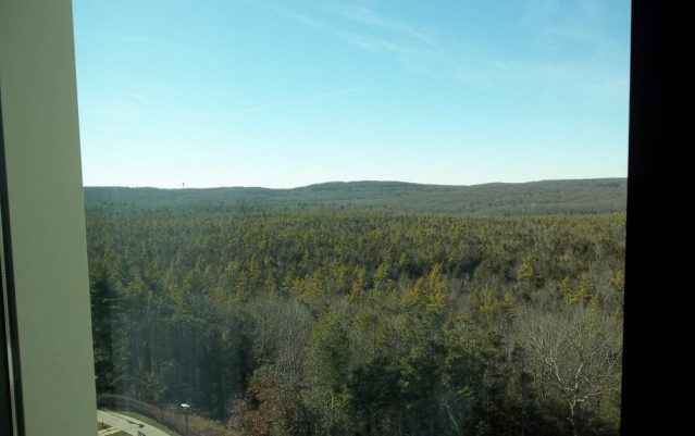 Das Kasino Foxwoods liegt inmitten von Natur und man kann dort auch gut spazieren gehen