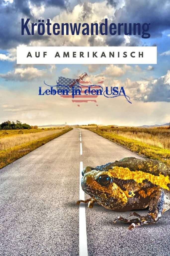 Was in Deutschland die Krötenwanderung ist in den USA die Schildkrötenwanderung