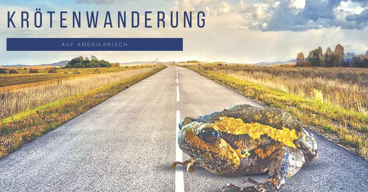 Schildkroetenwanderung in den USA