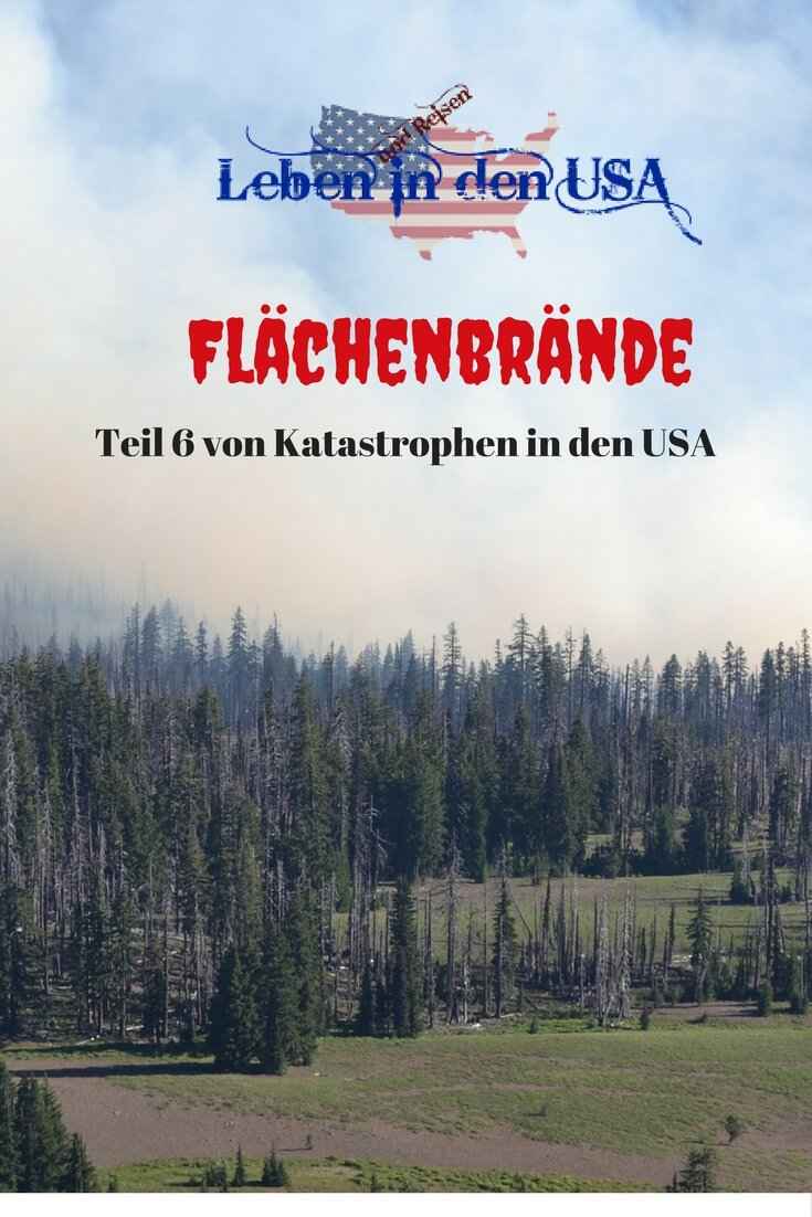 Waldbrand Flächenbrand in den USA