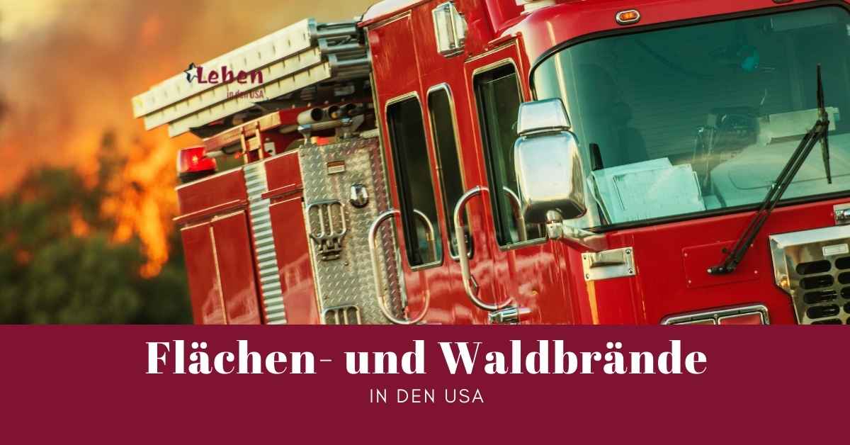 Flächen- und Waldbrände in den USA