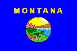 Montana Flagge