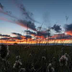 Tallgrass Prairie National Preserve